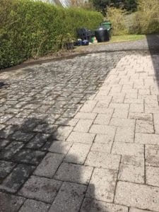 Fjernelse af flisepest